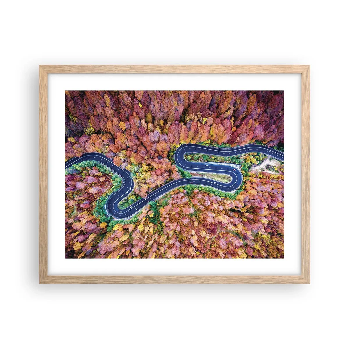 Poster in einem Rahmen aus heller Eiche - Kurvenreicher Weg durch den Wald - 50x40 cm