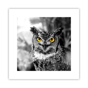 Poster - Nichts wird sich verstecken - 30x30 cm