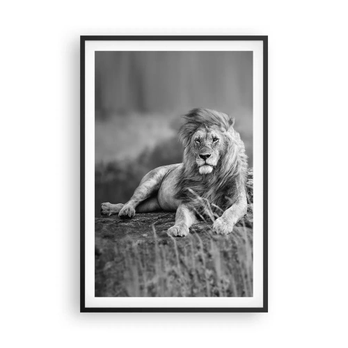 Poster in einem schwarzem Rahmen - Königliche Siesta - 61x91 cm