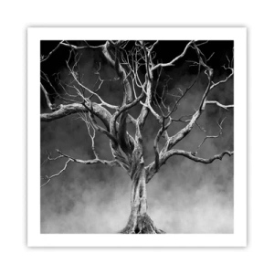 Poster - Ursprünglich und heilig - 60x60 cm