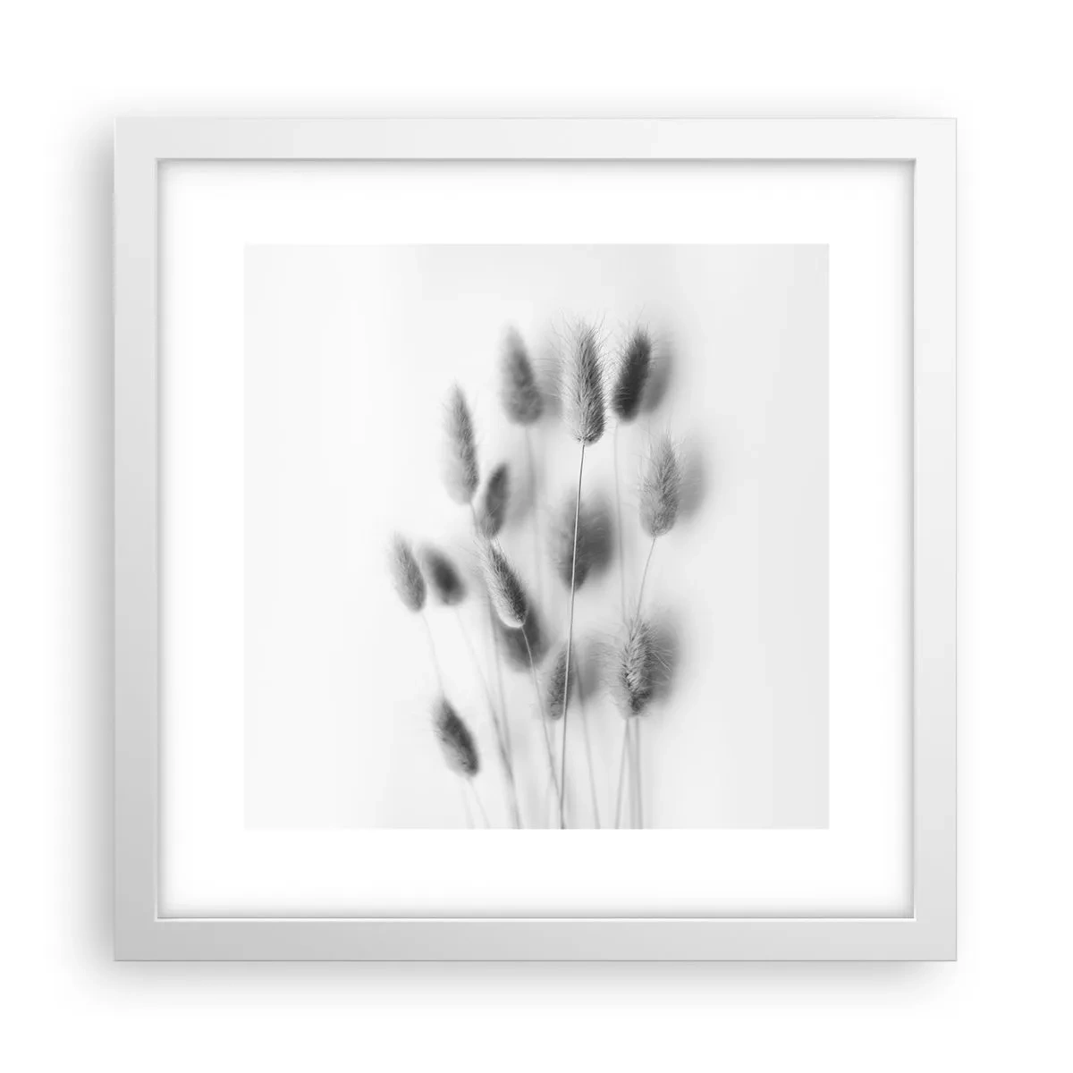 Poster in einem weißen Rahmen - Eure flauschige Grashoheit - 30x30 cm