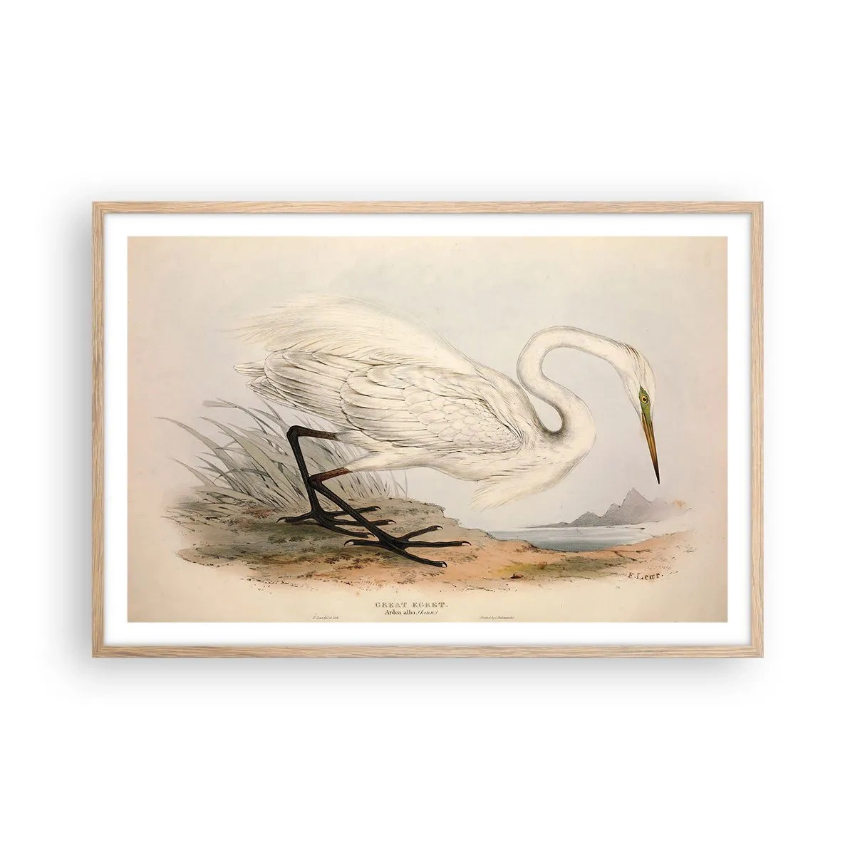 Poster in einem Rahmen aus heller Eiche - Dame auf den Binsen - 91x61 cm