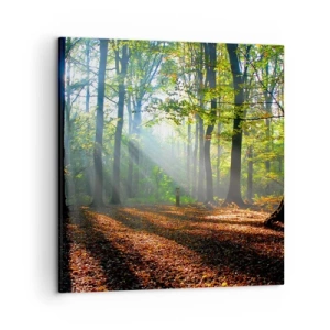 Bild auf Leinwand - Leinwandbild - Licht und Schatten - 50x50 cm