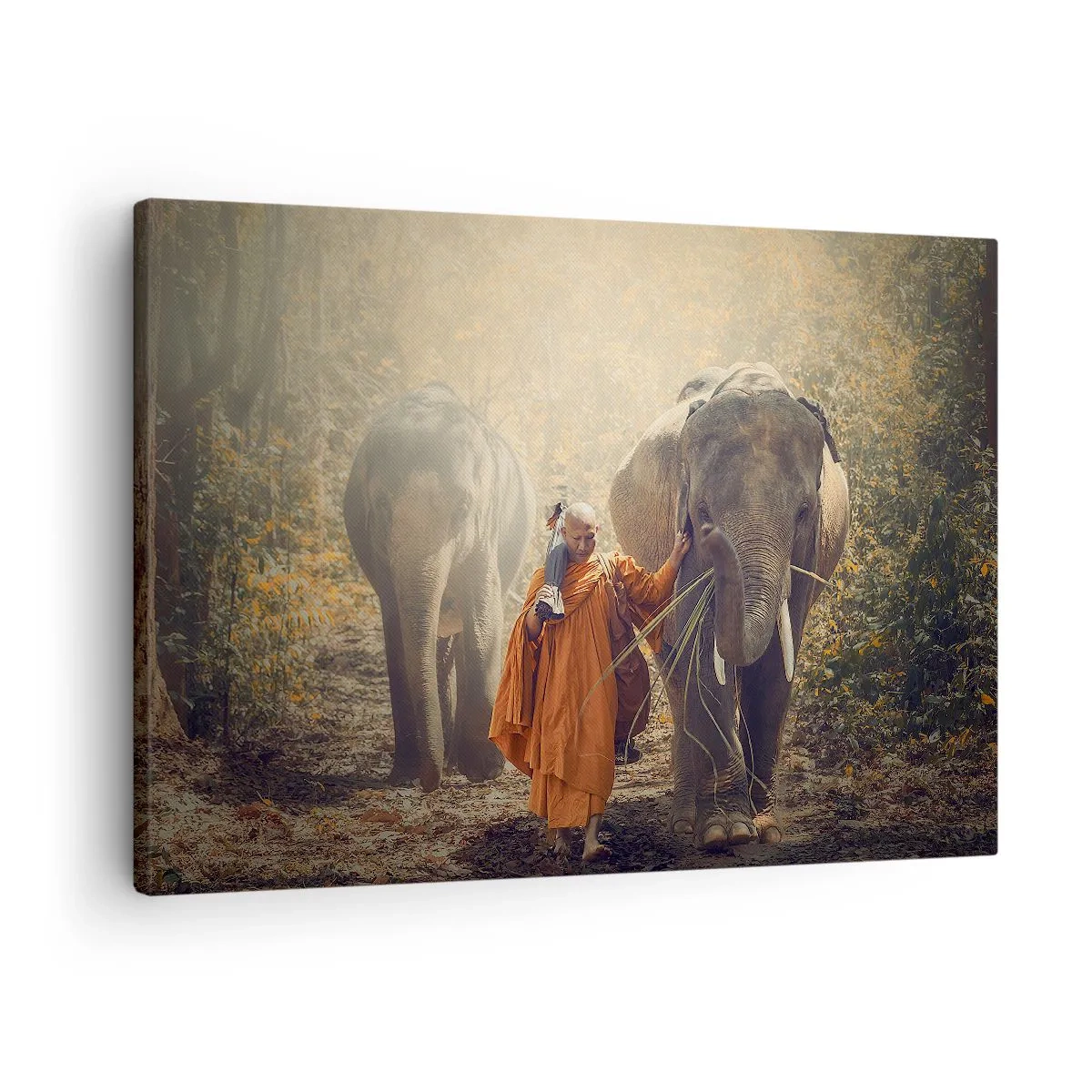 Bild auf Leinwand - Leinwandbild - Ein Mönch in einer orangefarbenen Robe führt einen Elefanten durch den Wald. - 70x50cm - Volles Verständnis - Moderne Wanddekoration für Wohnzimmer und Schlafzimmer ARTTOR
