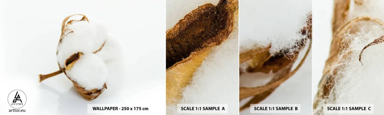 Fototapeten Muster Selbstklebend Deluxe Sticker - Von Natur aus weich - Baumwolle, Minimalistisch, Blume - 100x30 cm