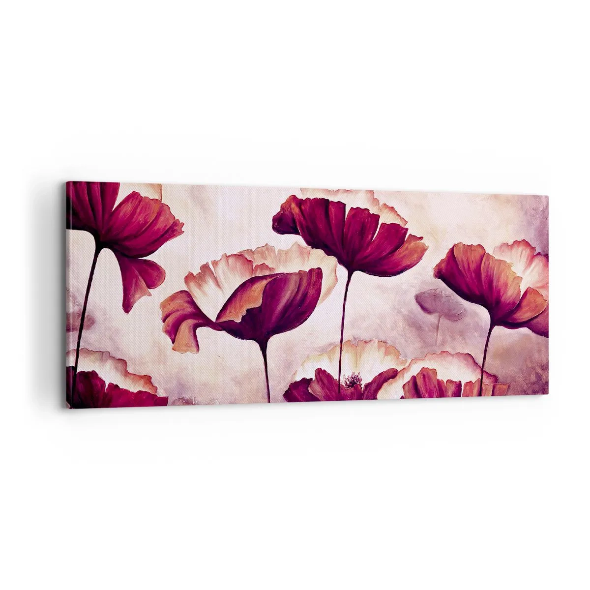 Bild auf Leinwand - Leinwandbild - Rotes und weißes Blütenblatt - 100x40 cm