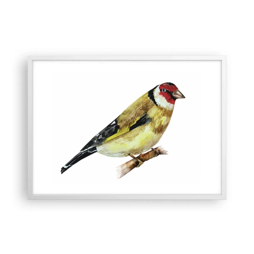 Poster in einem weißen Rahmen - Vogelporträt - 70x50 cm
