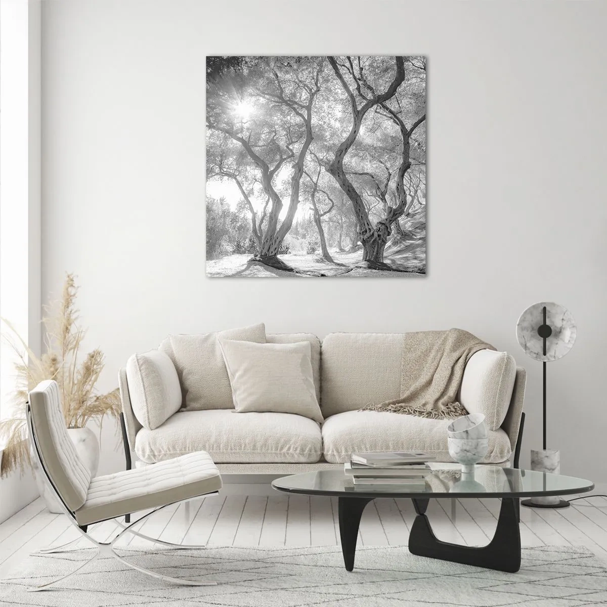 Glasbild - Bild auf glas - Im Olivenhain - 70x70 cm