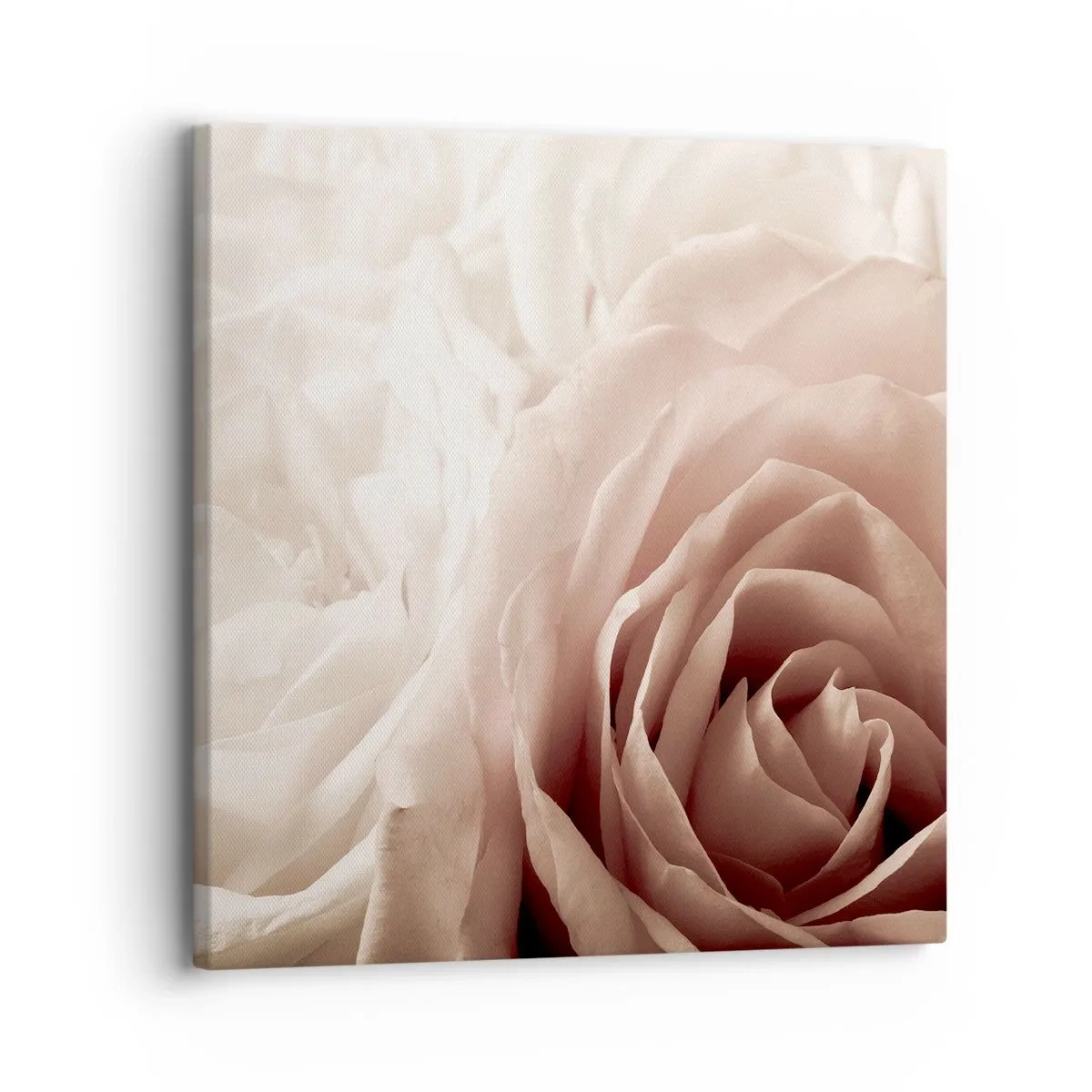 Bild auf Leinwand - Leinwandbild - Im Herzen der Rose - 30x30 cm