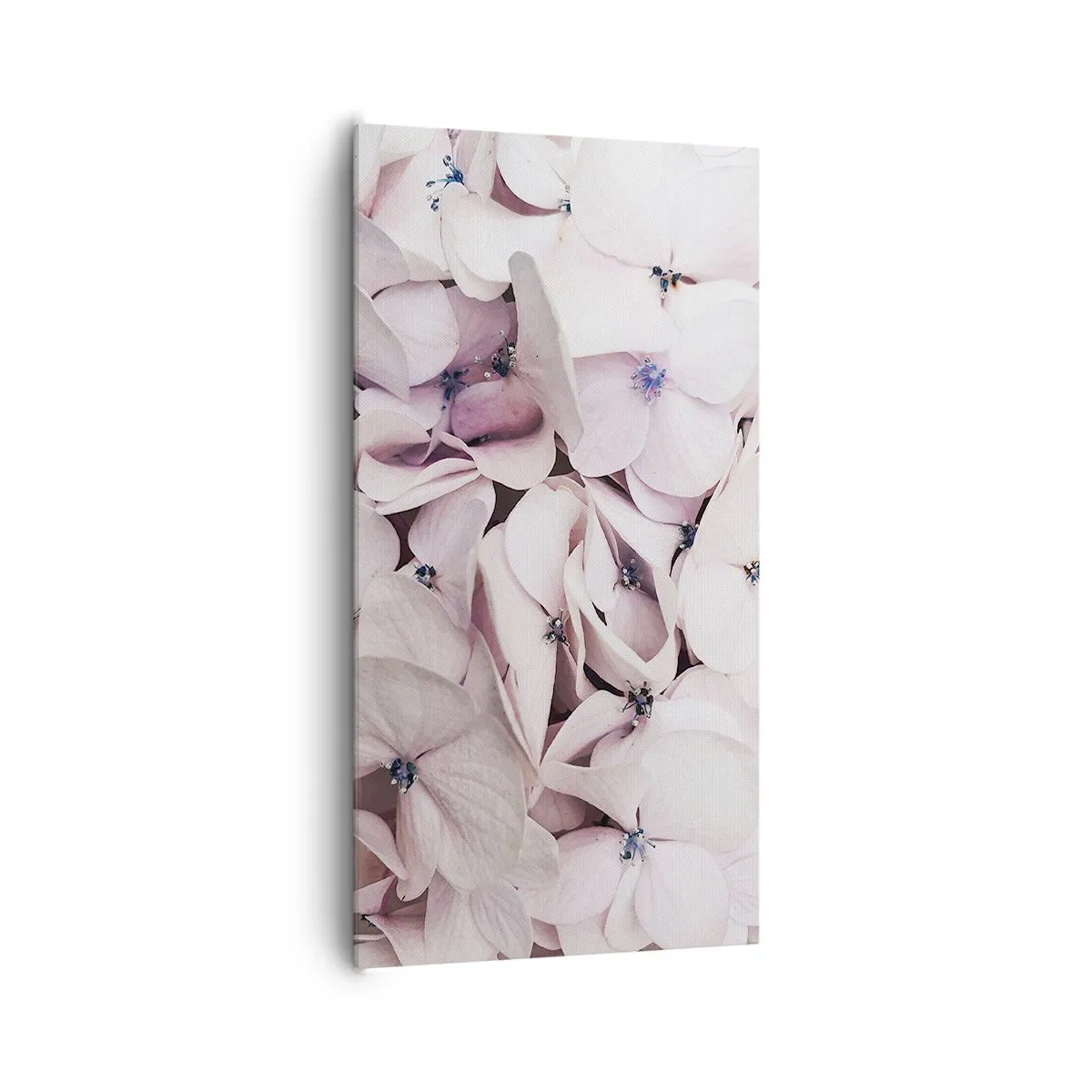 Bild auf Leinwand - Leinwandbild - In einer Blumenflut - 65x120 cm