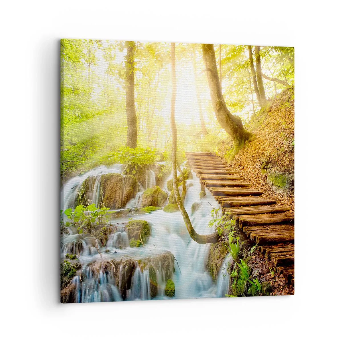 Bild auf Leinwand - Leinwandbild - Eine ersehnte Kühle - 50x50 cm