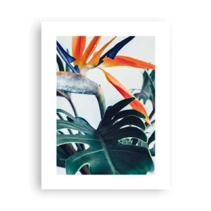 Poster - Vogelbusch - 30x40 cm