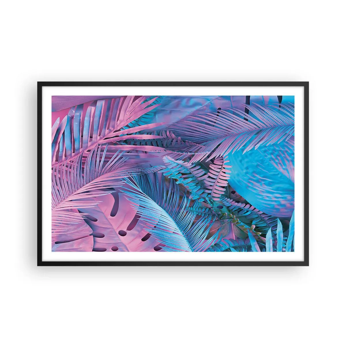 Poster in einem schwarzem Rahmen - Tropen in Rosa und Blau - 91x61 cm