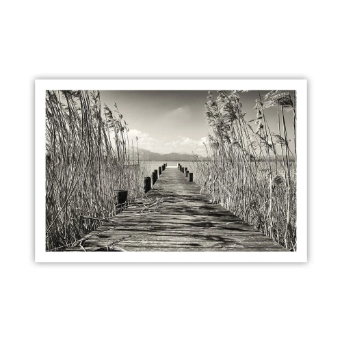 Poster - In der Stille des Grases - 91x61 cm