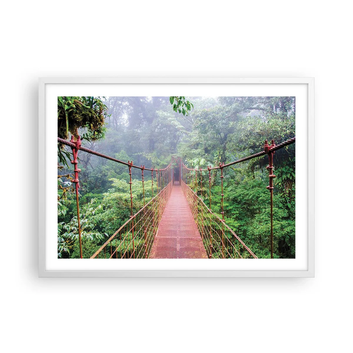 Poster in einem weißen Rahmen - Über den Kronen aufgehängt - 70x50 cm