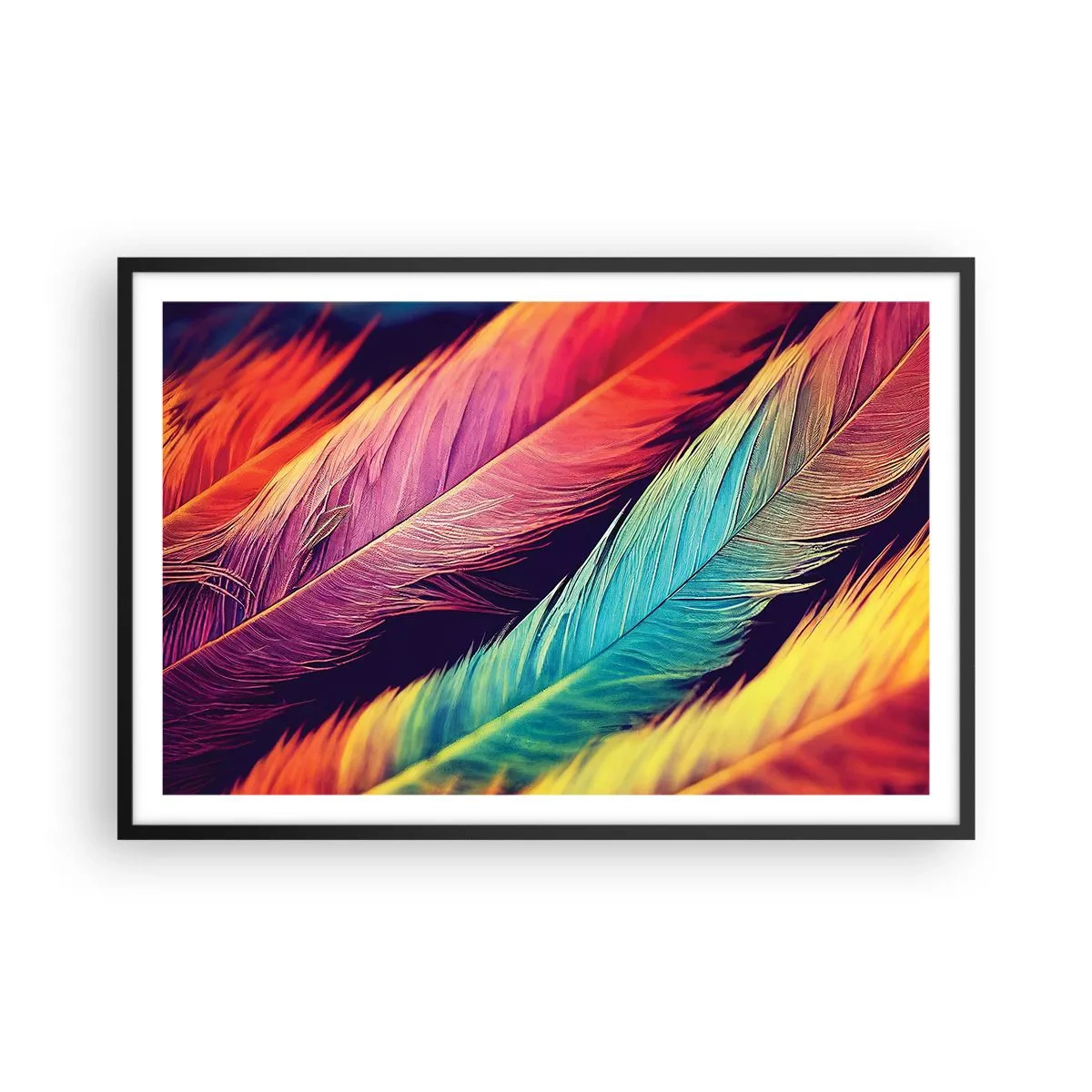 Poster in einem schwarzem Rahmen - Gefiederter Regenbogen - 91x61 cm