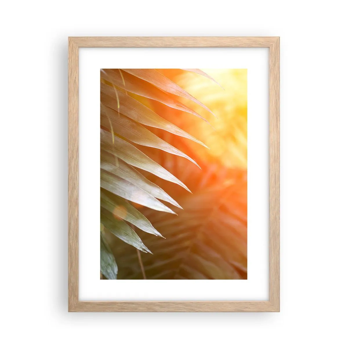 Poster in einem Rahmen aus heller Eiche - Morgen im Dschungel - 30x40 cm