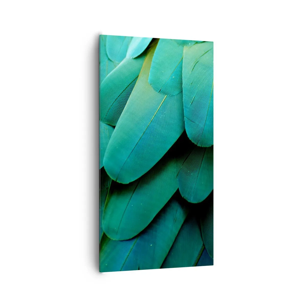 Bild auf Leinwand - Leinwandbild - Papageienartige Präzision - 65x120 cm