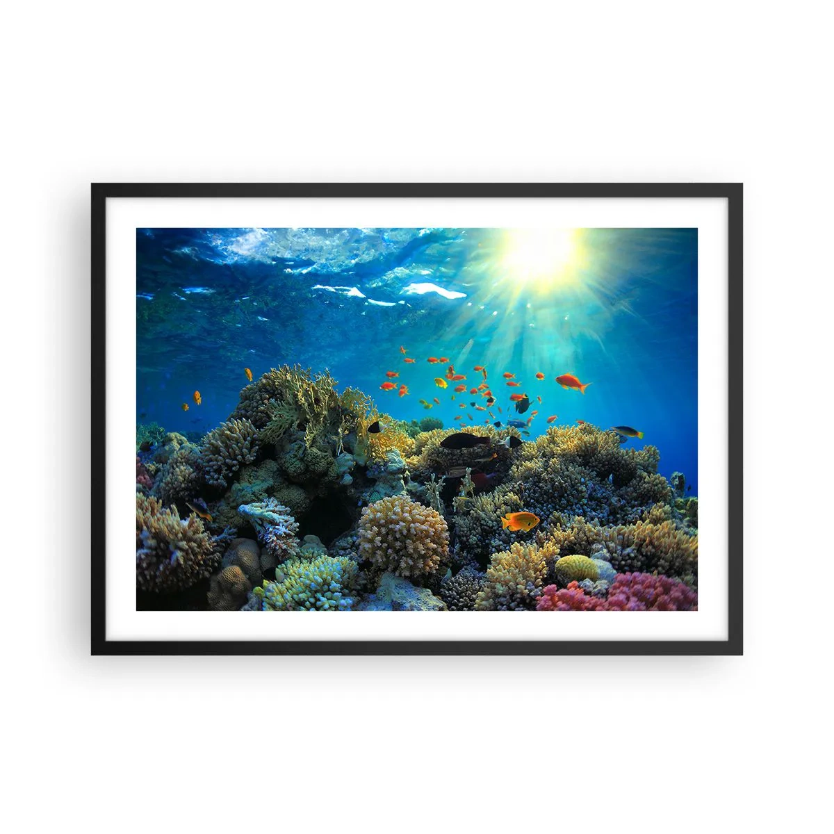Poster in einem schwarzem Rahmen - Korallenriff mit Fischen in den Sonnenstrahlen unter Wasser - 70x50cm - Unterwasserschätze - Moderne Wanddekoration für Wohnzimmer und Schlafzimmer ARTTOR