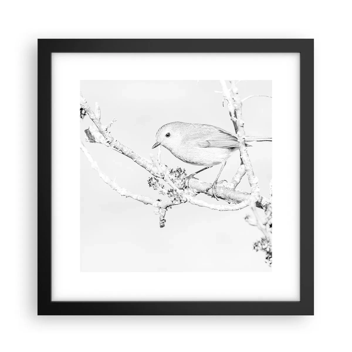 Poster in einem schwarzem Rahmen - Wintermorgen - 30x30 cm