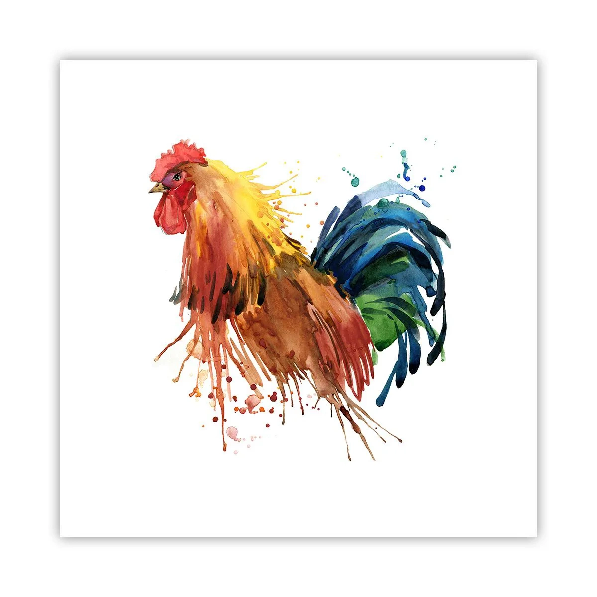 Poster - Königliches Gewand, königlicher Stolz - 40x40 cm