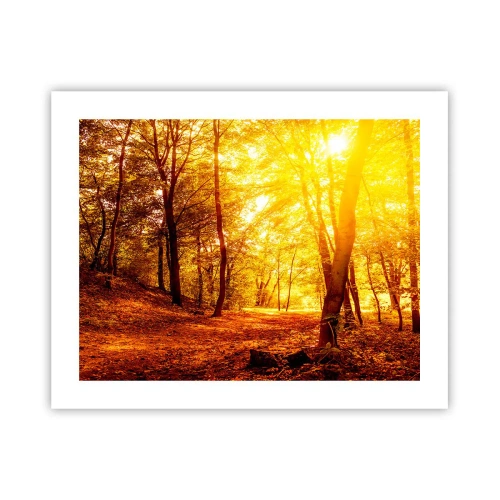Poster - Auf die goldene Lichtung - 50x40 cm