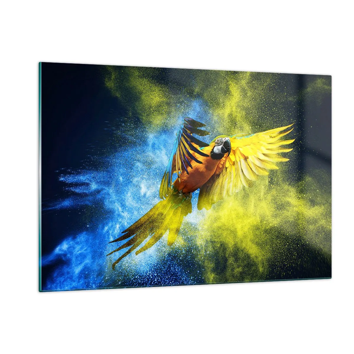Glasbild - Bild auf glas - Ein bunter Papagei im Flug vor einem gelben und blauen Hintergrund - 120x80cm - Im blauen und goldenen Staub - Moderne Wanddekoration für Wohnzimmer und Schlafzimmer ARTTOR