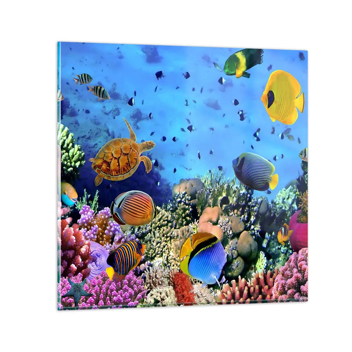 Glasbild - Bild auf glas - Und was wissen wir über das Leben ... - 40x40 cm