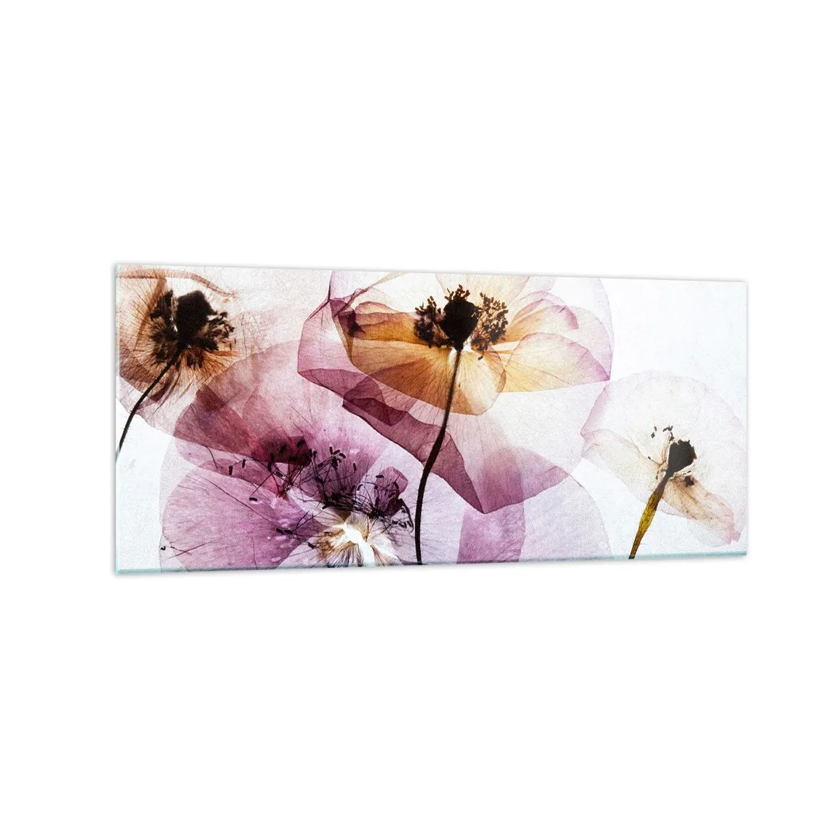 Glasbild - Bild auf glas - Zarte transparente Blüten in Pastelltönen - 120x50cm - Transparente Körperblumen - Moderne Wanddekoration für Wohnzimmer und Schlafzimmer ARTTOR