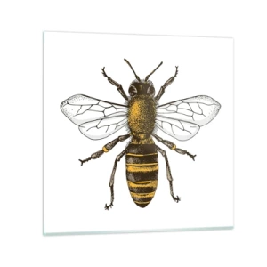 Glasbild - Bild auf glas - Schön und gut - 50x50 cm