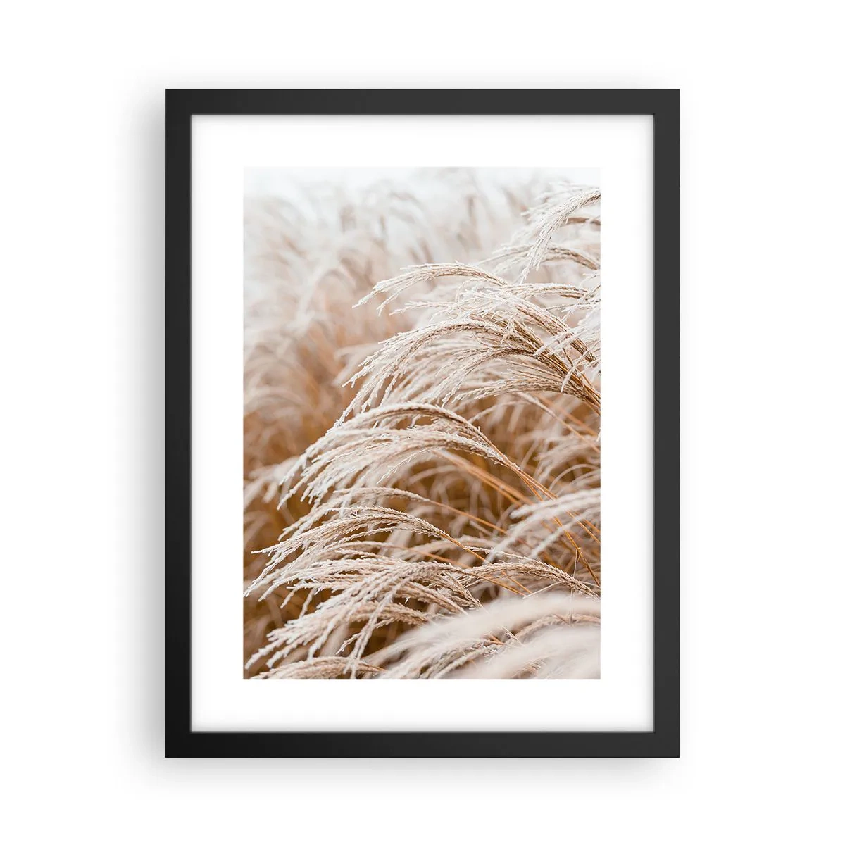 Poster in einem schwarzem Rahmen - Verbeuge dich vor der Herbstsonne - 30x40 cm