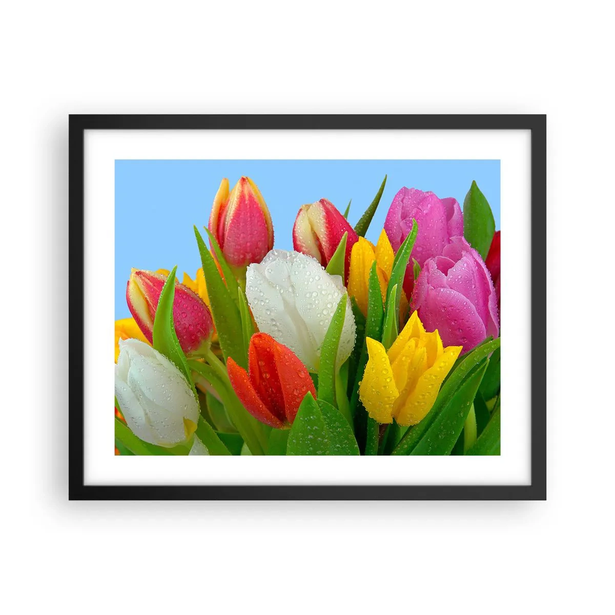Poster in einem schwarzem Rahmen - Ein blumiger Regenbogen in Tautropfen - 50x40 cm