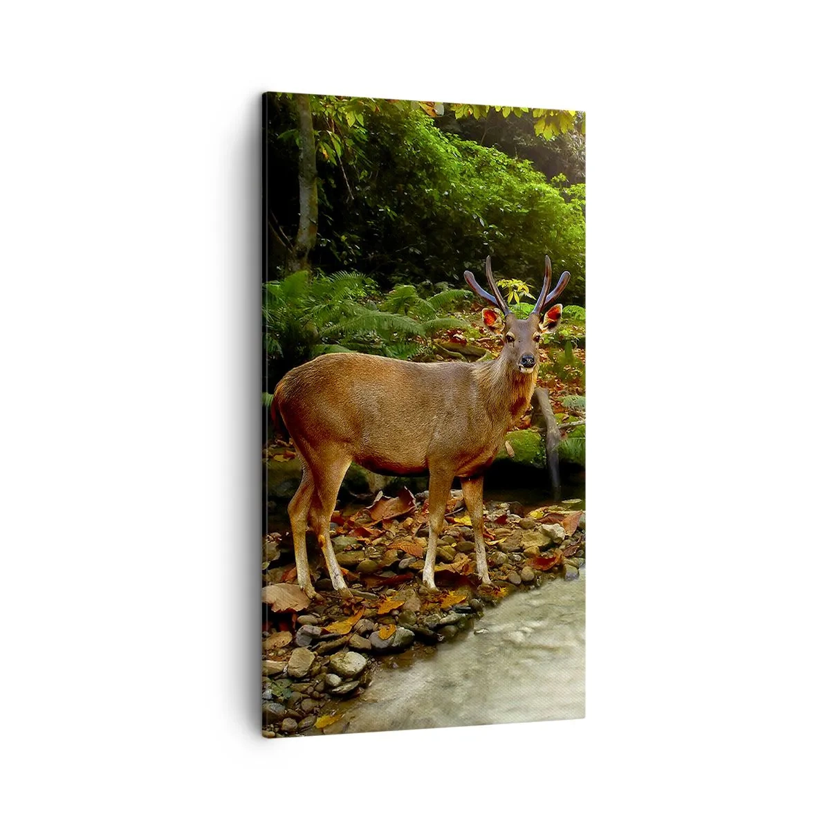 Bild auf Leinwand - Leinwandbild - Willkommen in meiner Welt - 45x80 cm