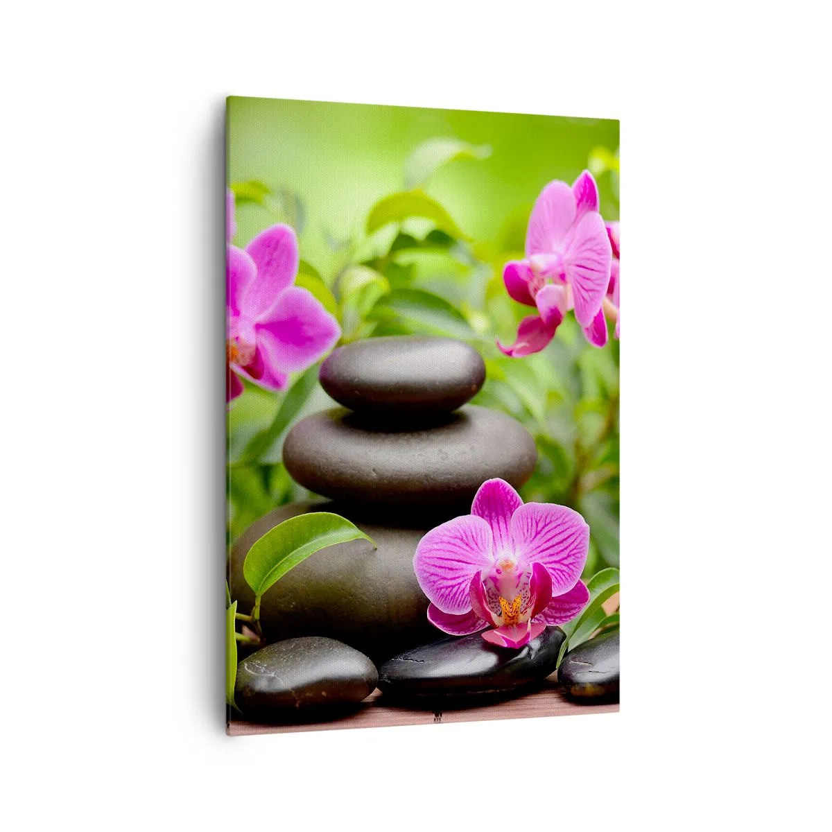 Bild auf Leinwand - Leinwandbild - Rosa Orchideen mit Steinen auf grünem Hintergrund - 70x100cm - Die Pyramide des Friedens - Moderne Wanddekoration für Wohnzimmer und Schlafzimmer ARTTOR