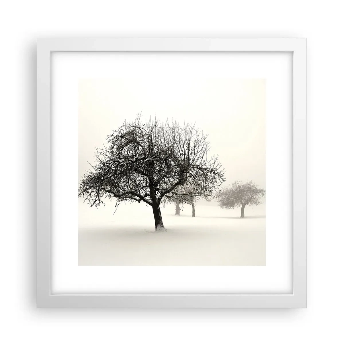 Poster in einem weißen Rahmen - Winterschlaf - 30x30 cm