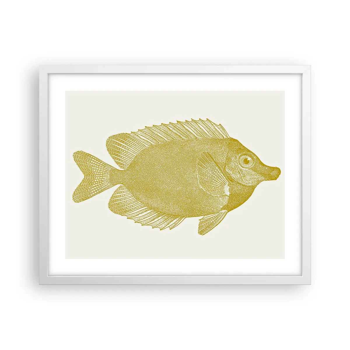 Poster in einem weißen Rahmen - Fisch und das war’s - 50x40 cm