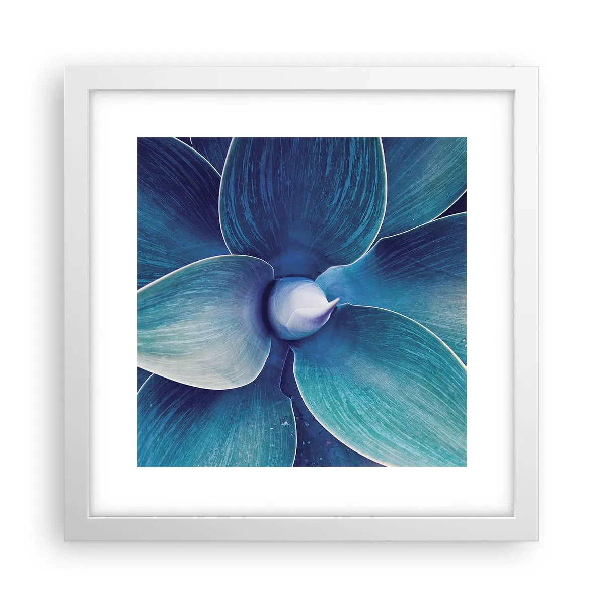 Poster in einem weißen Rahmen - Bläulich vom Himmel - 30x30 cm