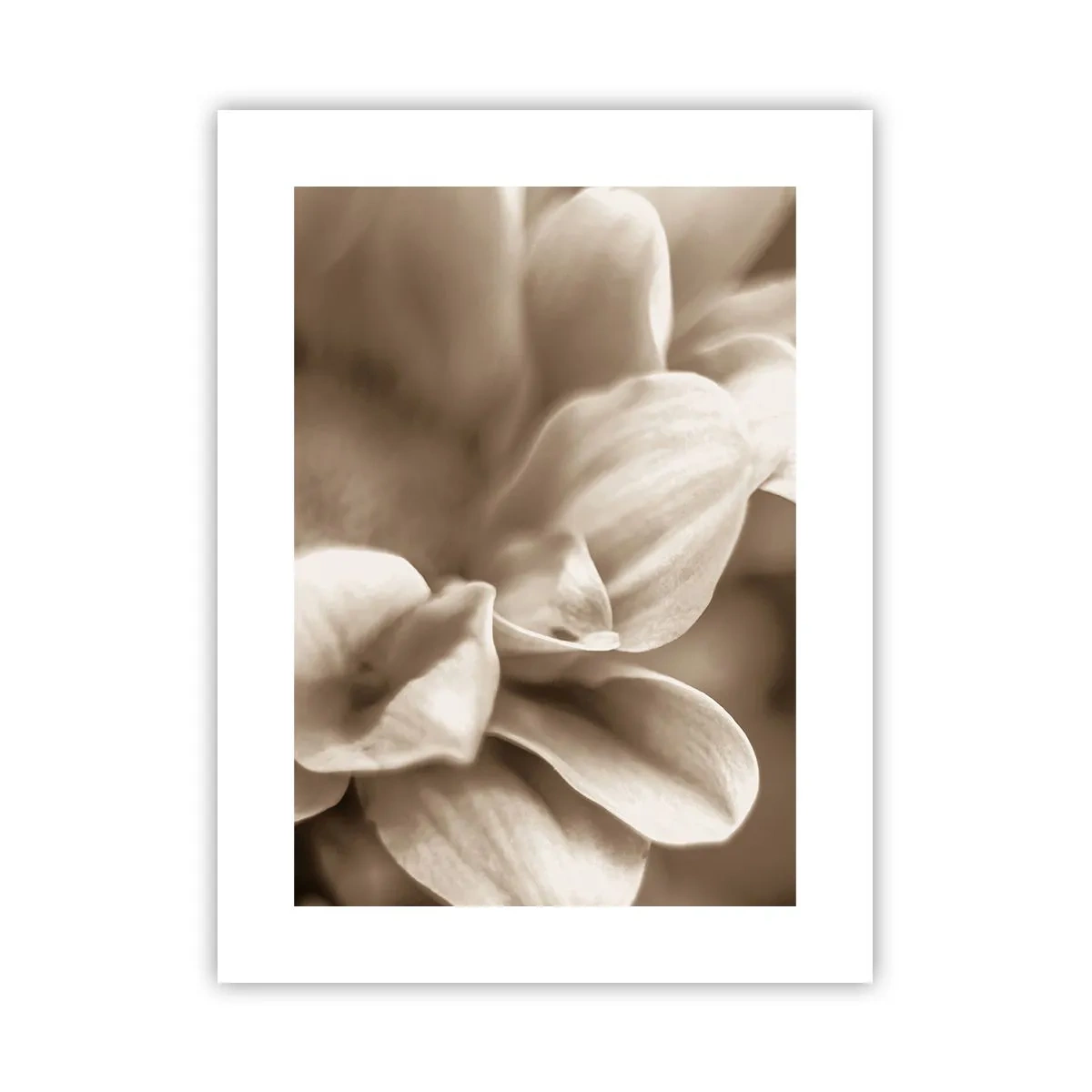 Poster - So sanft wie ein Lächeln - 30x40 cm