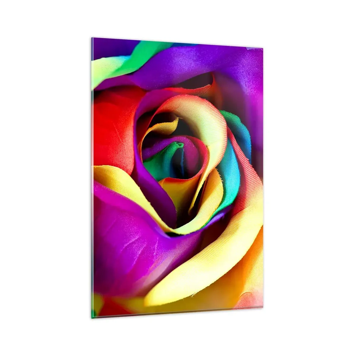 Glasbild - Bild auf glas - Eine bunte Rose in Regenbogenfarben - 80x120cm - Es ist unmöglich - Moderne Wanddekoration für Wohnzimmer und Schlafzimmer ARTTOR