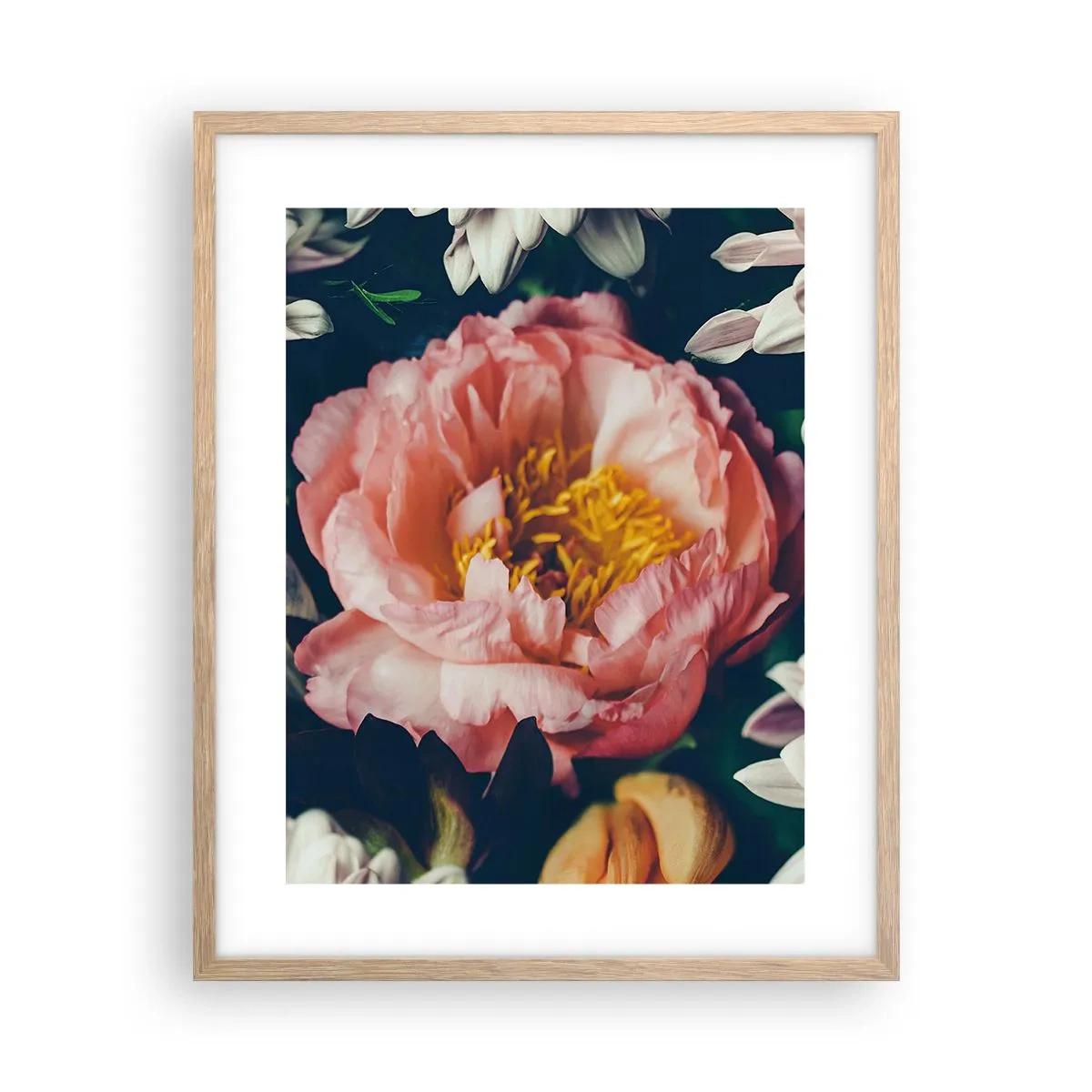 Poster in einem Rahmen aus heller Eiche - Mit barocker Pracht - 40x50 cm
