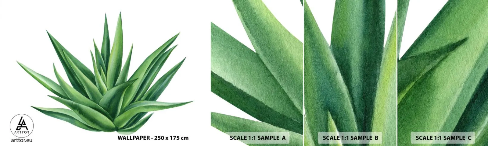 Fototapetenmuster Standard Eco - Grün – Kraft – Leben - Anlage, Aloe, Botanik - 100x30 cm