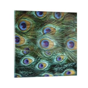 Glasbild - Bild auf glas - Ein Blick mit Pfauenaugen - 30x30 cm