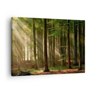 Bild auf Leinwand - Leinwandbild - Sonnenstrahlen dringen durch die Bäume im Wald - 70x50cm - Strahlend an einem Frühlingsmorgen - Moderne Wanddekoration für Wohnzimmer und Schlafzimmer ARTTOR