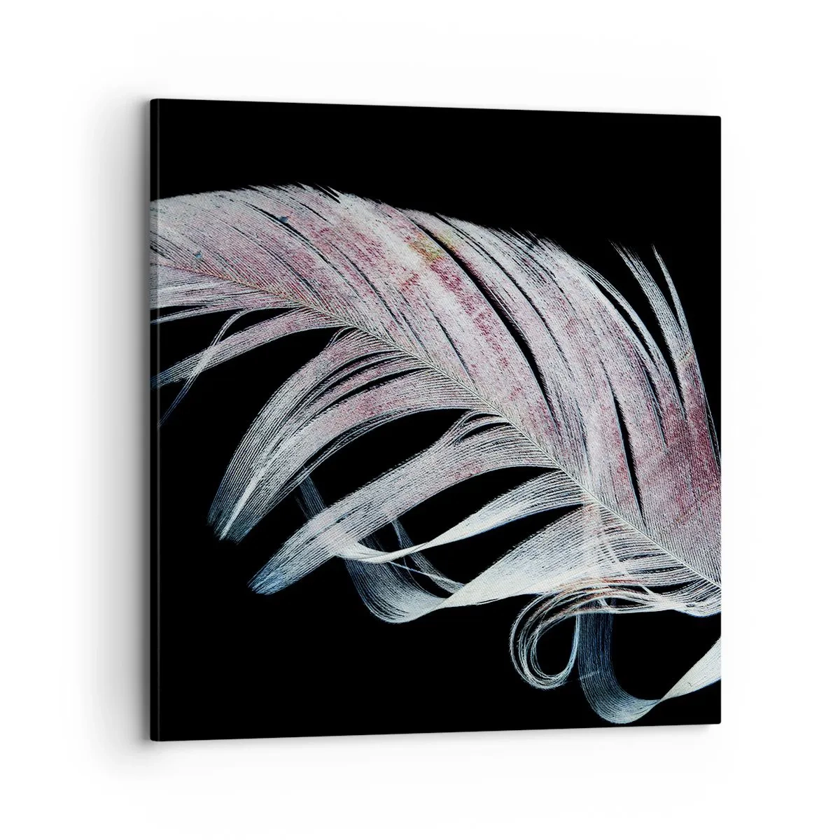 Bild auf Leinwand - Leinwandbild - Denke an Berührung - 70x70 cm