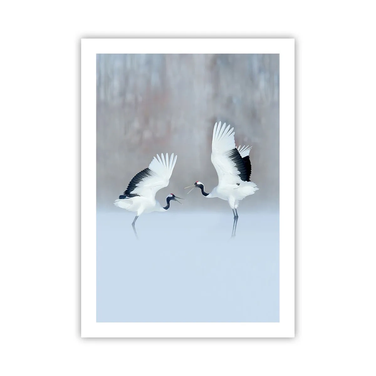 Poster - Tanzende Kraniche vor der Kulisse einer Winterlandschaft - 50x70cm - Tanz im Nebel - Moderne Wanddekoration für Wohnzimmer und Schlafzimmer ARTTOR