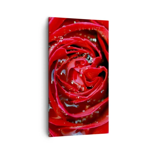 Bild auf Leinwand - Leinwandbild - In den Tautropfen - 45x80 cm