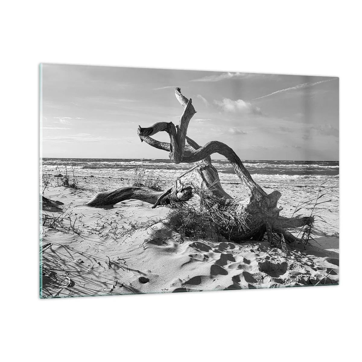 Glasbild - Bild auf glas - Eine schwarz-weiße Landschaft mit einem heruntergefallenen Ast an einem Strand am Meer. - 120x80cm - Meeresskulptur - Moderne Wanddekoration für Wohnzimmer und Schlafzimmer ARTTOR
