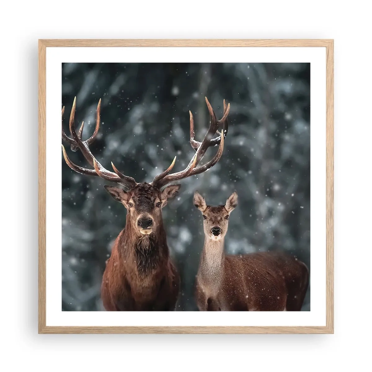 Poster in einem Rahmen aus heller Eiche - Herr des Waldes mit seiner Frau - 60x60 cm