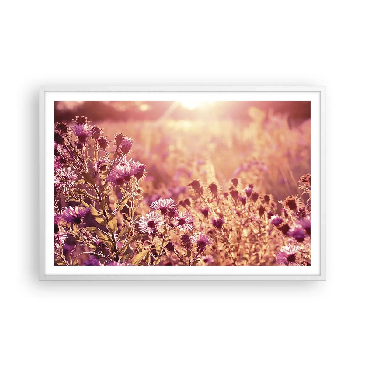 Poster in einem weißen Rahmen - Bevor der Sommer vorbei ist - 91x61 cm