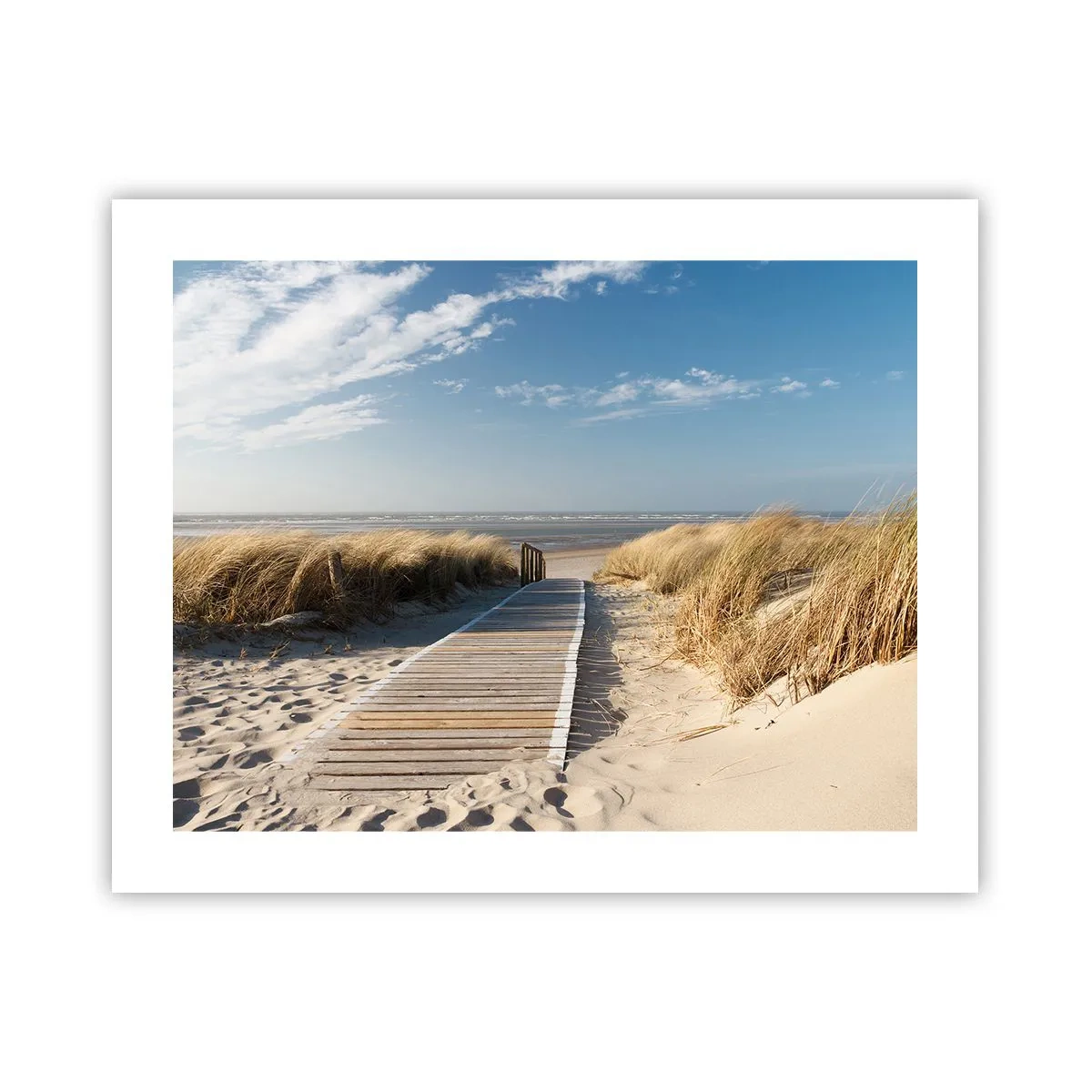 Poster - Hinter der Düne, im Rauschen des Grases - 50x40 cm